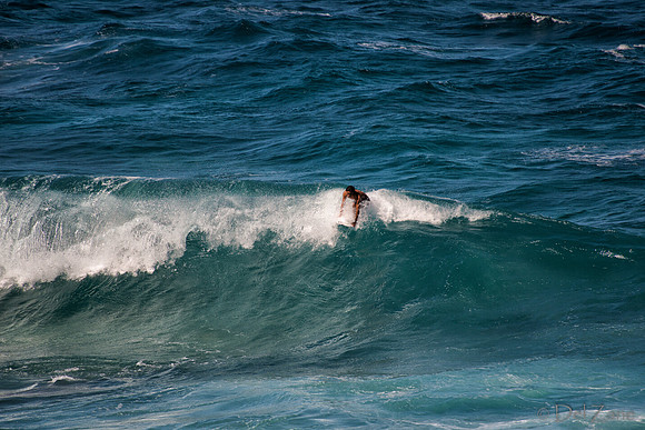 01-02 Ho'okipa Surfers--19