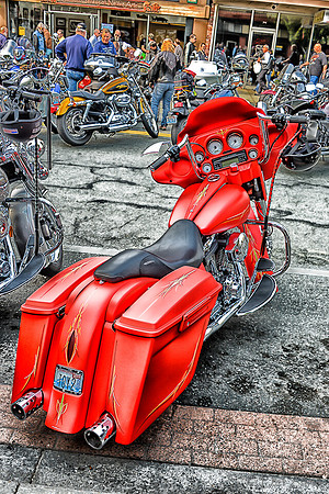 09-23 Oyster Run-80