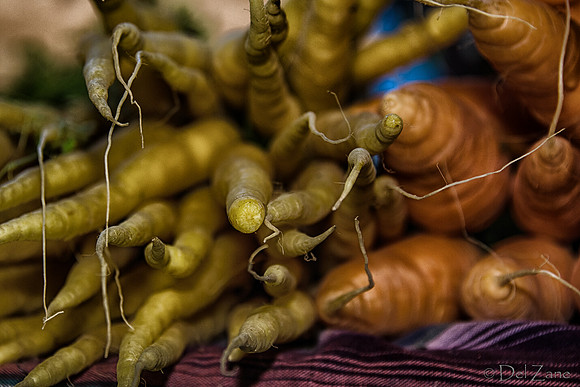 11-17 Indoor Farmers Market-81