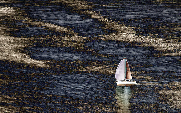 08-25-2012 Northern Century Sailboat Race-54