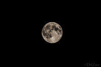 08-10 Super Moon Tiffs--5