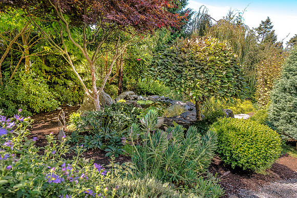 08-17 Shadra Garden 2015 TIFFs--13