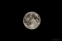 08-10 Super Moon Tiffs--6