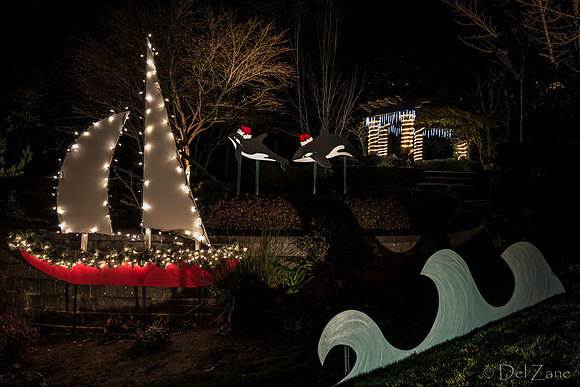 11-27-13  Marine Heights Night Xmas Display--4