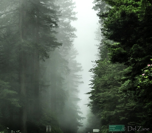 SDZ Trip Pix--30
