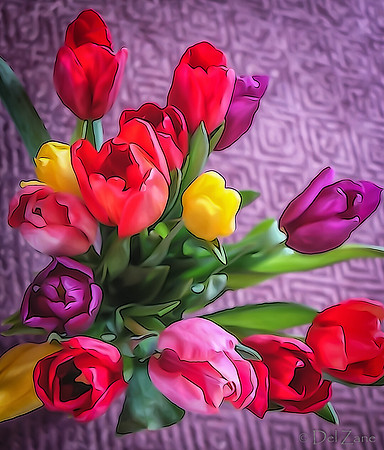 Multi-color Tulips--13