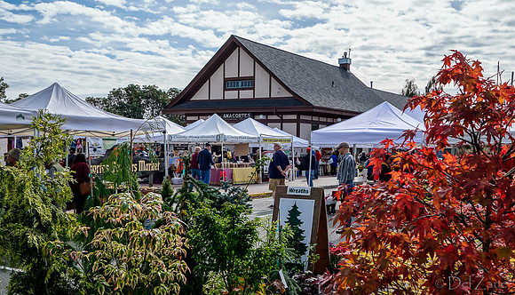 10-05 Farmers' Market--3