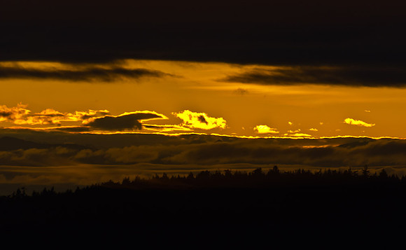 _DSC5138