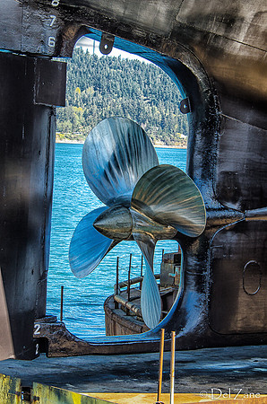 Elwha-6