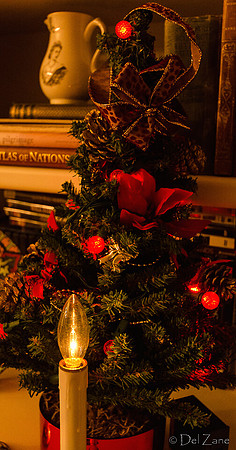 12-15 Small Xmas Tree-4
