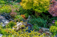 09-12 Shadra's Fall Garden Stroll--3