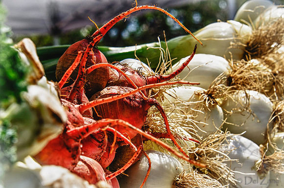 07-21 Farmers' Market-21