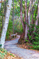 08-26 Ship Harbor TIFFs--12