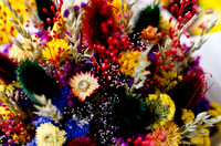 Pike Place Flora Sampling-3