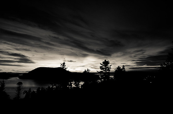 _DSC4118