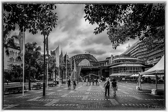 Sydney Walkabout--33