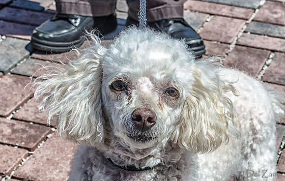 Faces of The Farmers' Market-43