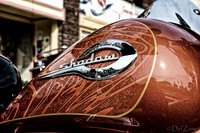 09-23 Oyster Run-5