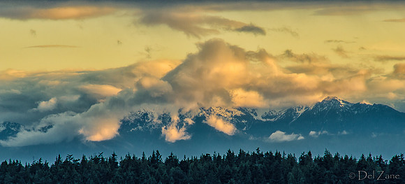The Very Distant Olympic Mountains-2