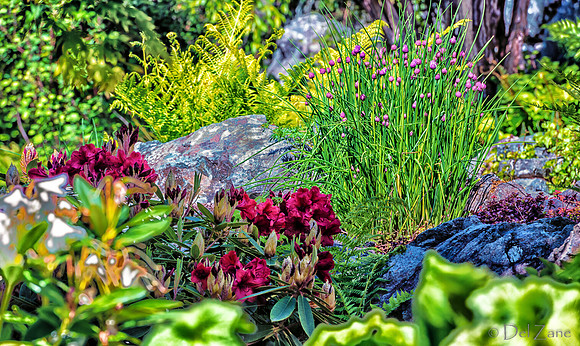 Mother's Day Garden Walk--23