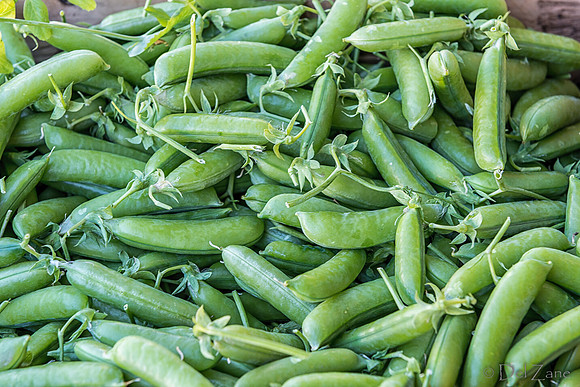 06-21 Farmers Market Tiffs--10