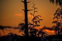 06-18 BIG SUNSET--11
