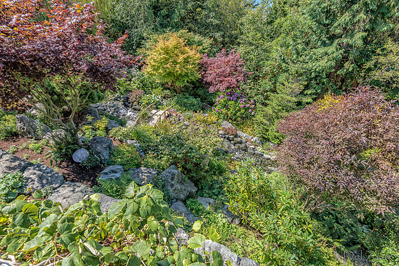 08-17 Shadra Garden 2015 TIFFs--48