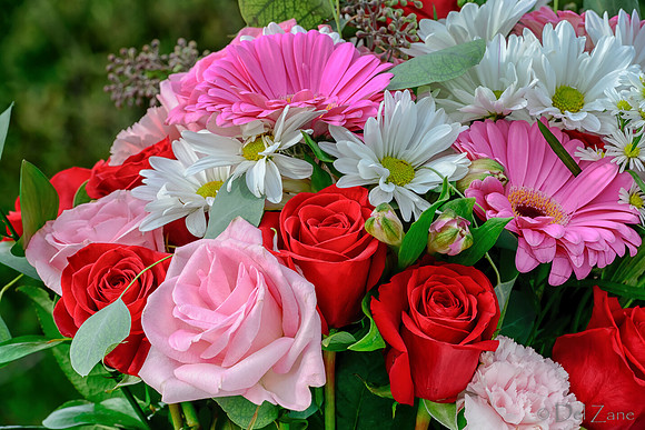 10-30 B'Day Bouquet TIFFs--7