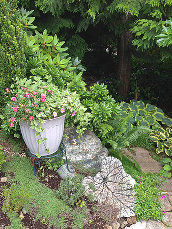 04-01 SDZ Garden Yard JPEGs-919