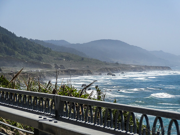 SDZ Trip Pix--40