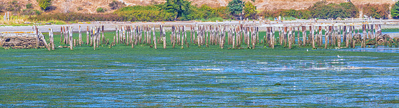 08-26 Ship Harbor TIFFs--9