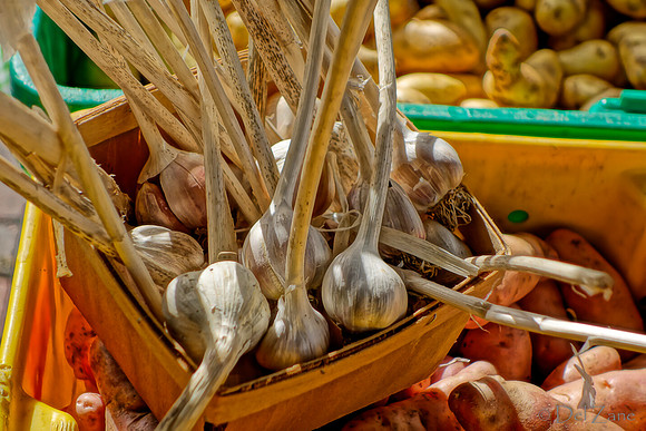 10-05 Farmers' Market Short-0468