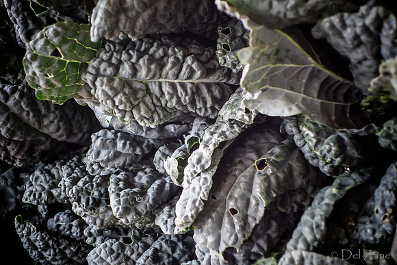 10-05 Farmers' Market--85