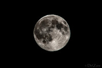 07-11 Super Moon Tiffs--13