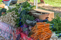 06-21 Farmers Market Tiffs--9