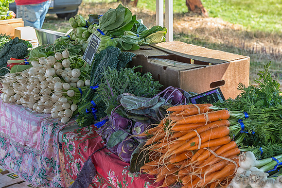 06-21 Farmers Market Tiffs--9