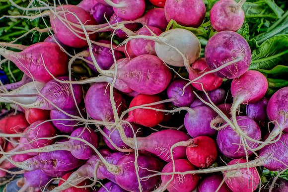 10-05 Farmers' Market--69