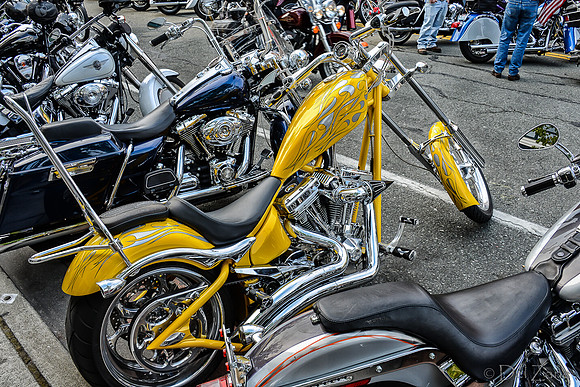 09-23 Oyster Run-58