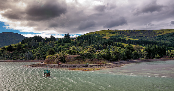 Dunedin Farewell--3