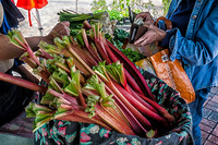 Memorial Day 2012, Farmers Market-13
