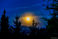 Backyard Lighting 04-02-2021