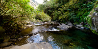 Iao Valley State Park-14
