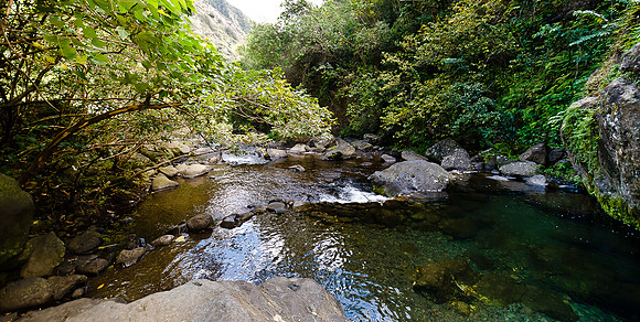 Iao Valley State Park-14