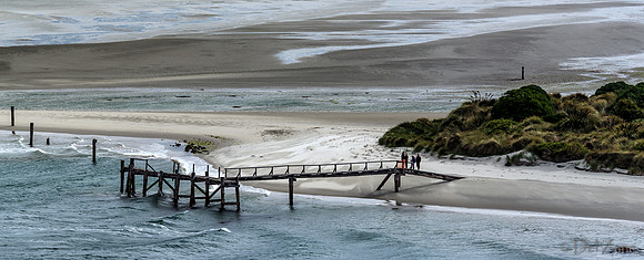 Dunedin Farewell--23