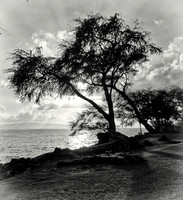 Makena Landing-3