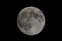 _DSC4462
