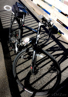 Biking Lopez Island