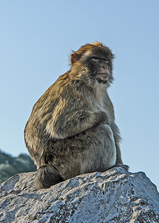 Gibraltar-2-9
