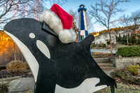 12-03 MH Daylight Xmas Display Tiffs--16