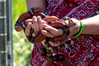 07-20 Snakes--4